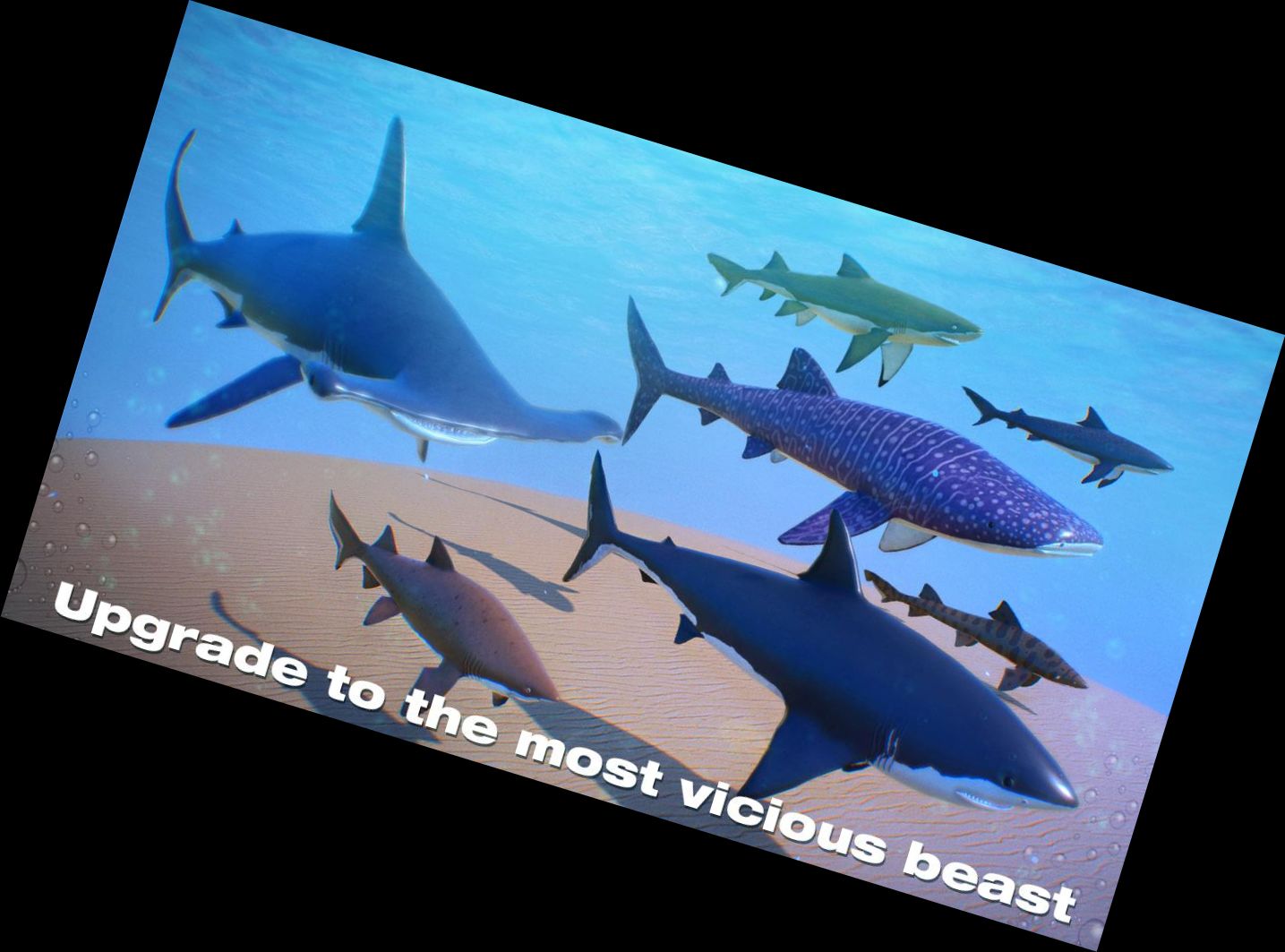 Shark Simulation Game