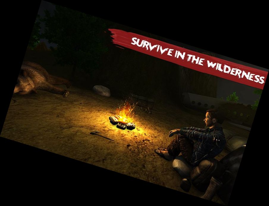 Überleben auf einer Wilden Insel Plan