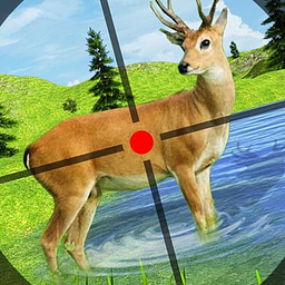 Wildjagd Tier Shooting