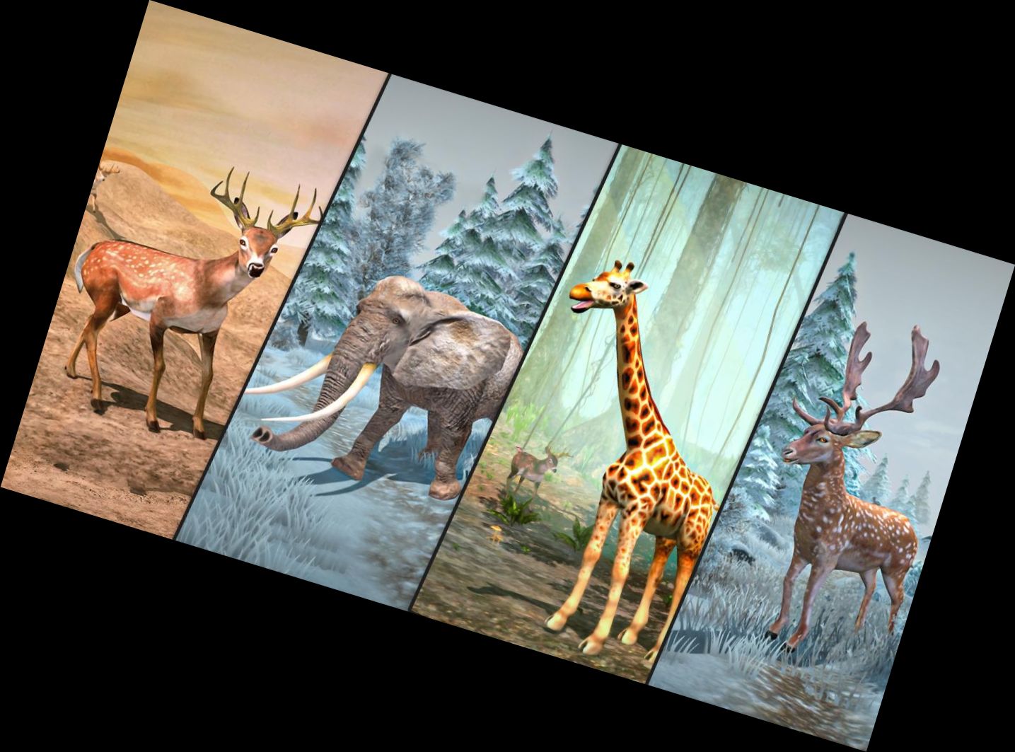 Wildjagd Tier Shooting