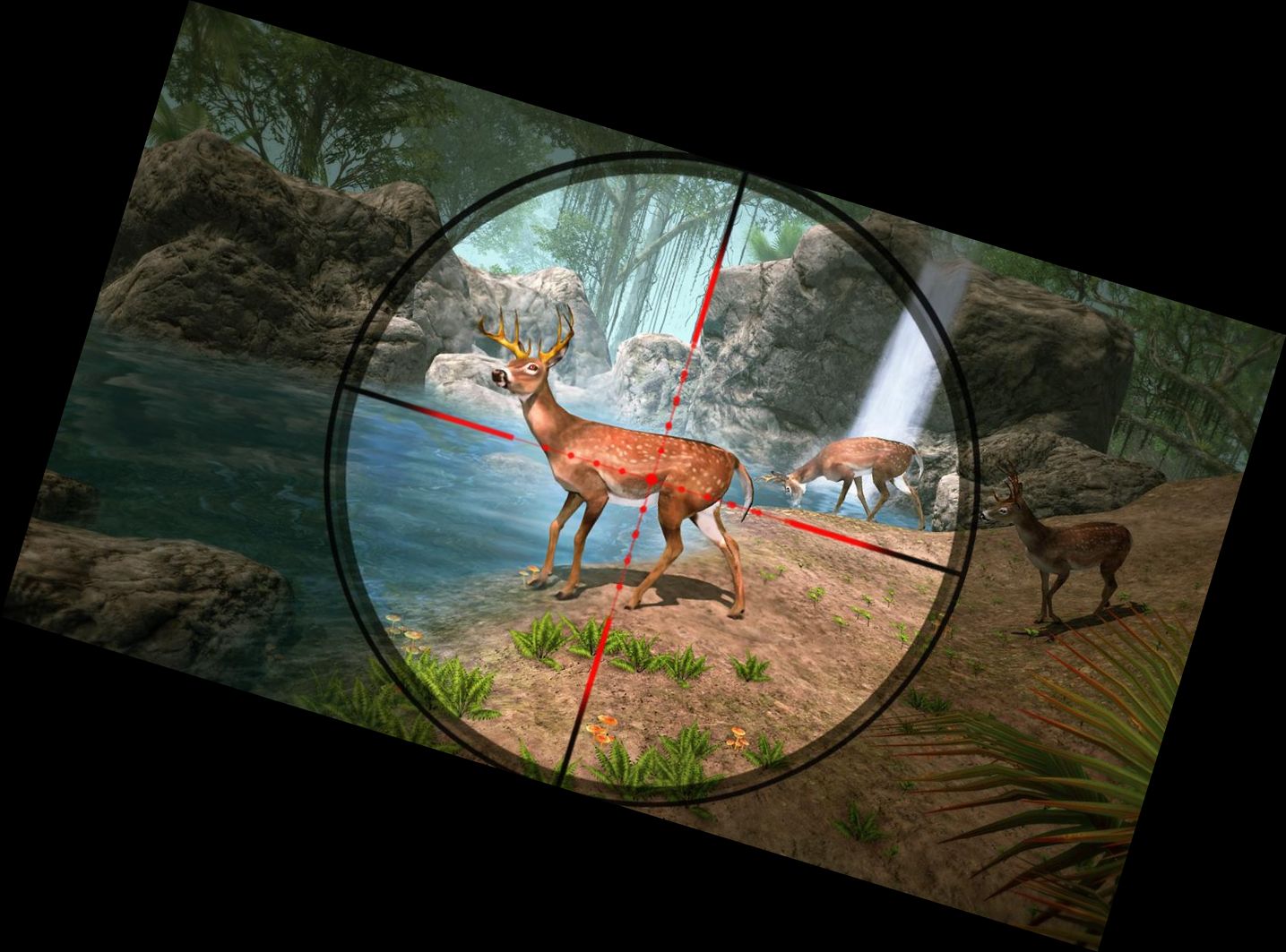 Wildjagd Tier Shooting