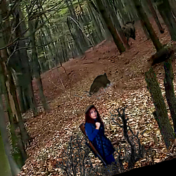 Полювання на