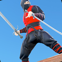 Guerrero Ninja Asesino Héroe