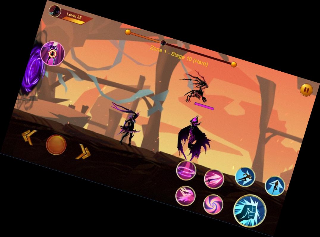 Тіньовий борець 2: