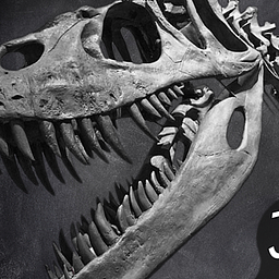 Dinosaurien-Attentäter: Evolution