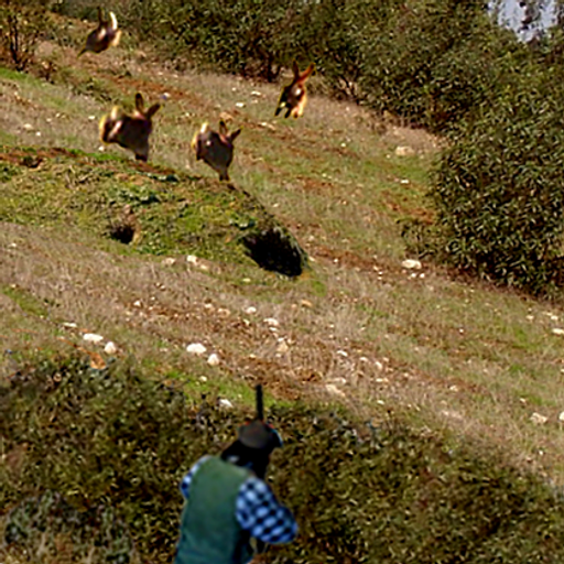 Cazando conejos