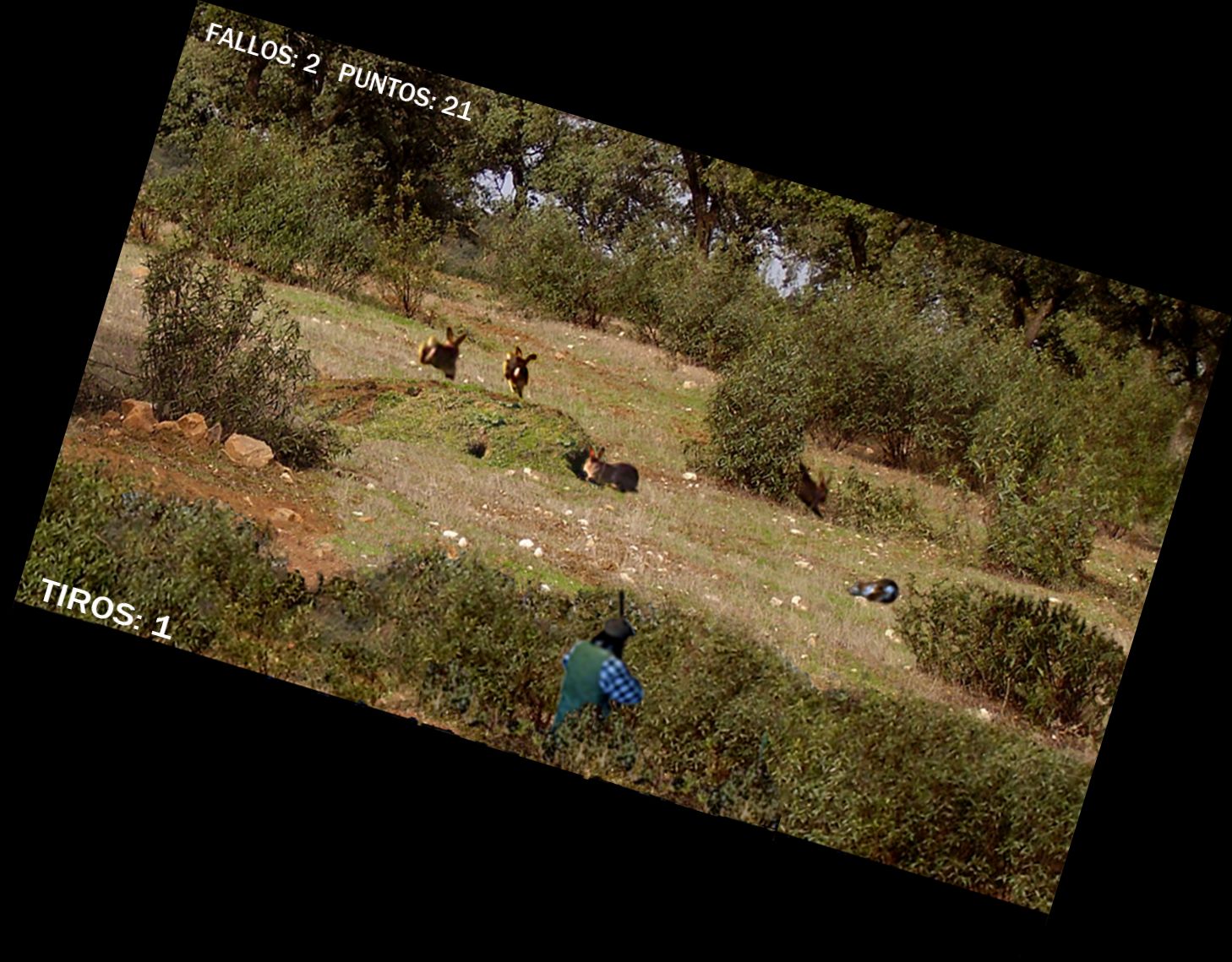 Охота на крол