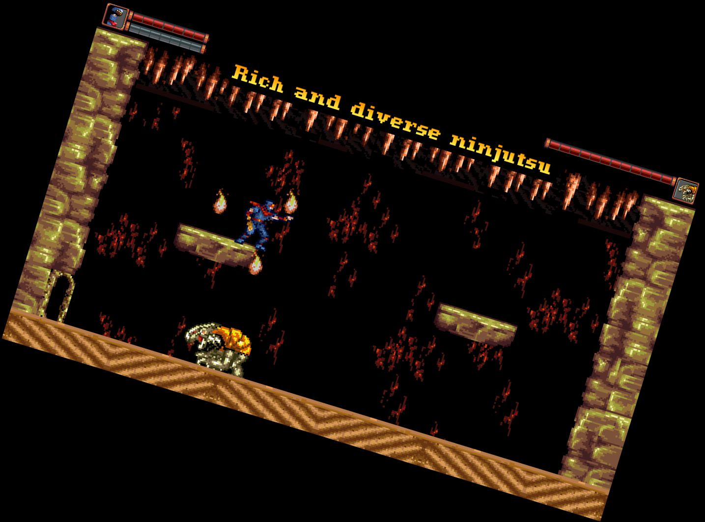 Ніндзя Рейнджер: Шін