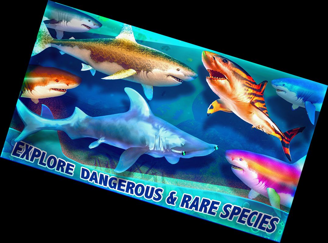 Реальне Життя Акули - А