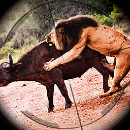 Игры на охоту животных Игры со