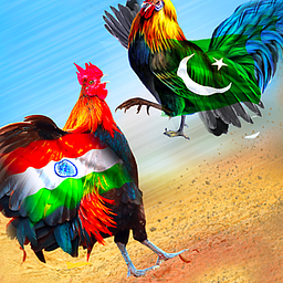 Gallo de Granja Peleas de Pollitos 