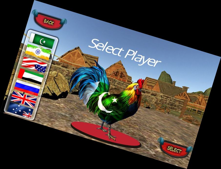 Gallo de Granja Peleas de Pollitos 