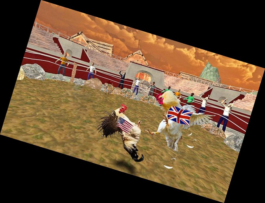 Петух Фермера: Бой Цып