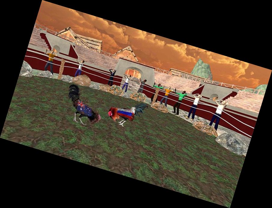 Gallo de Granja Peleas de Pollitos 