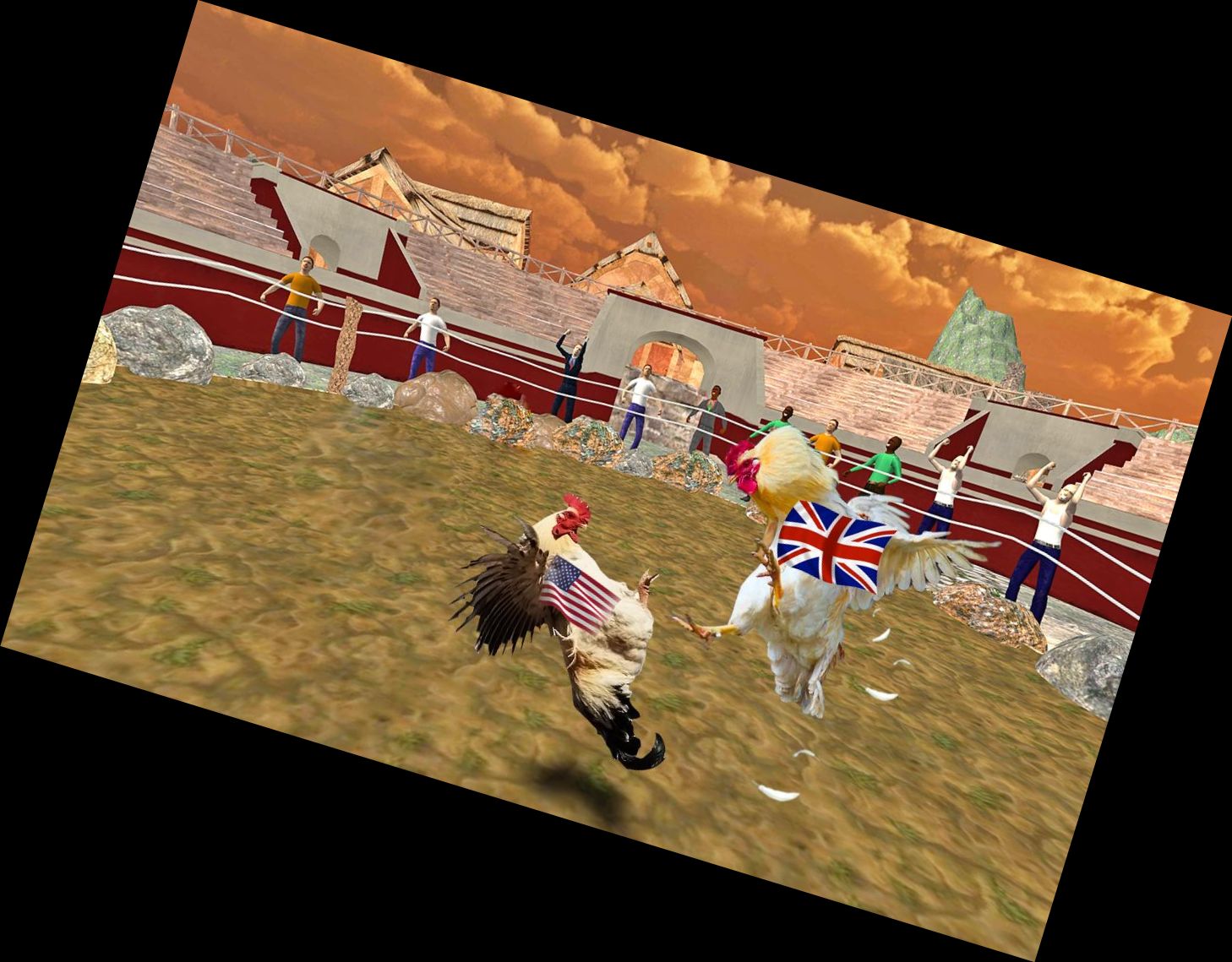 Kampfhähne vom Bauernhof 1