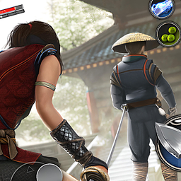 Ninja Ryuko: Schatten-Ninja-Spiel