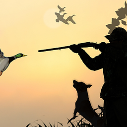 Полювання на кач