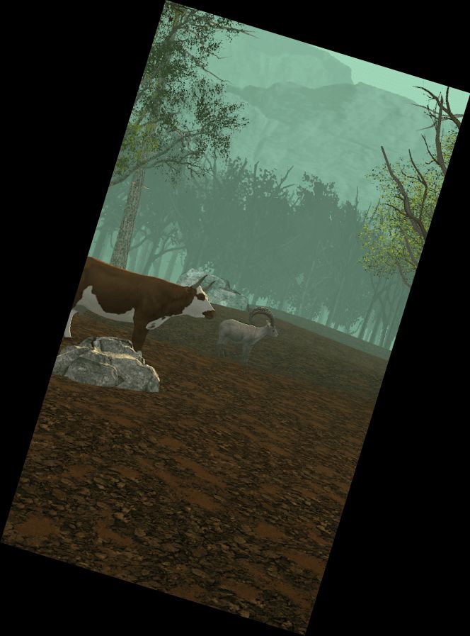 Охота и Стрельба: Мир О