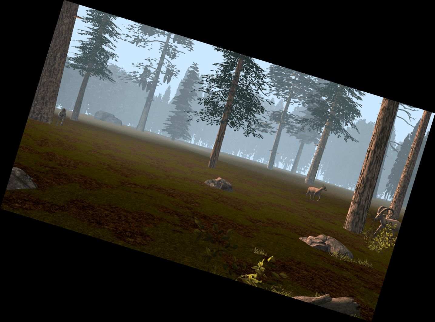 Охота Стрільба: Світ мисливця