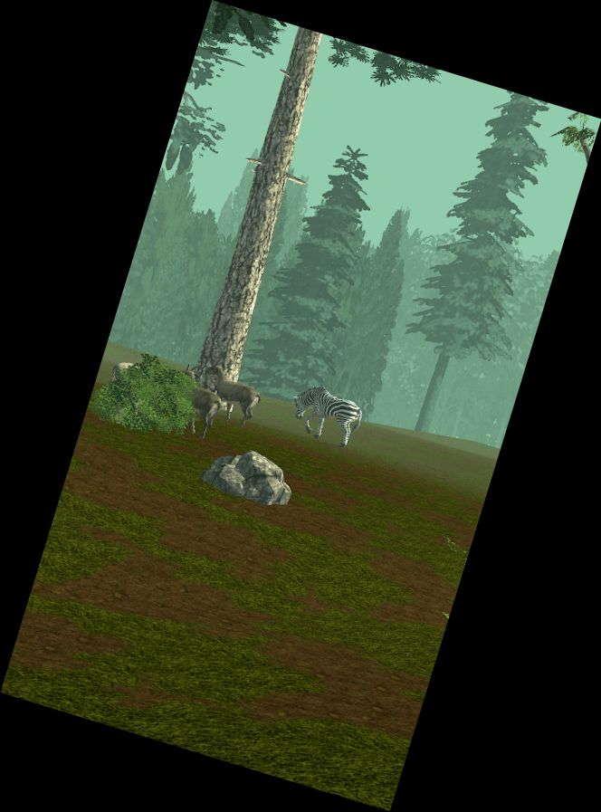 Охота и Стрельба: Мир О