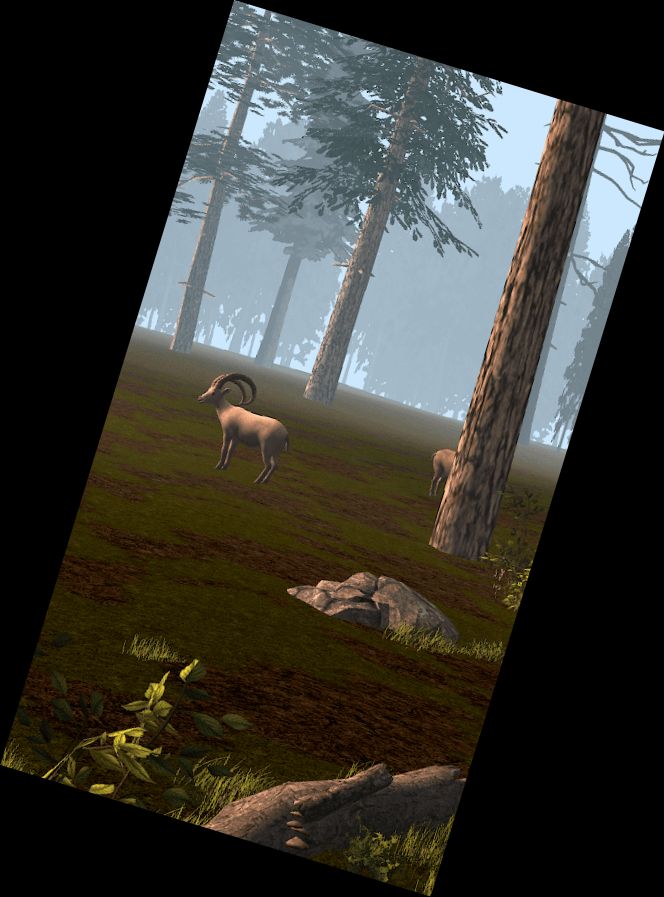 Wildlife Hunter: Shooting Simulator