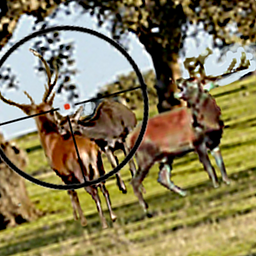 Hunt at Rutting Season