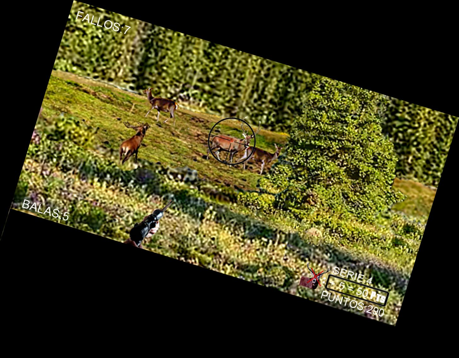 Охота на кабанов