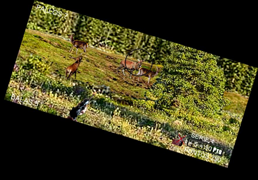 Охота на кабанов