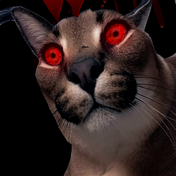 П'ять ночей з Флоп