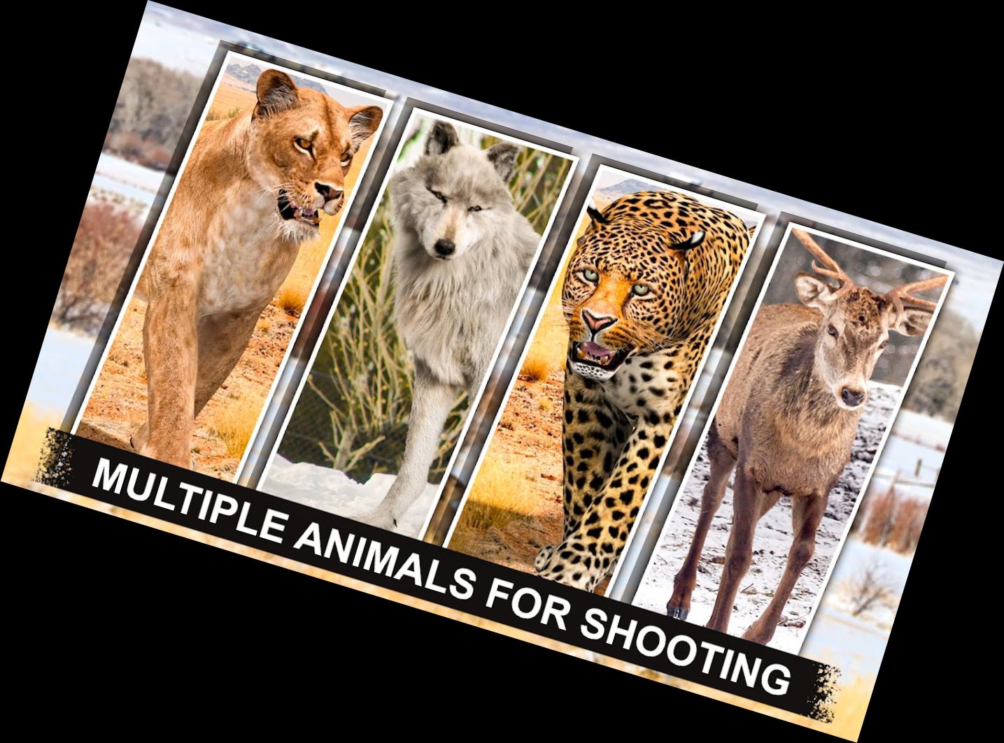 Мисливський Майстер: Стріле