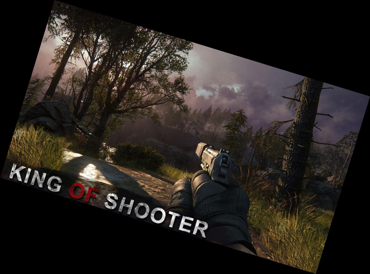 Король Стрелков: Убий