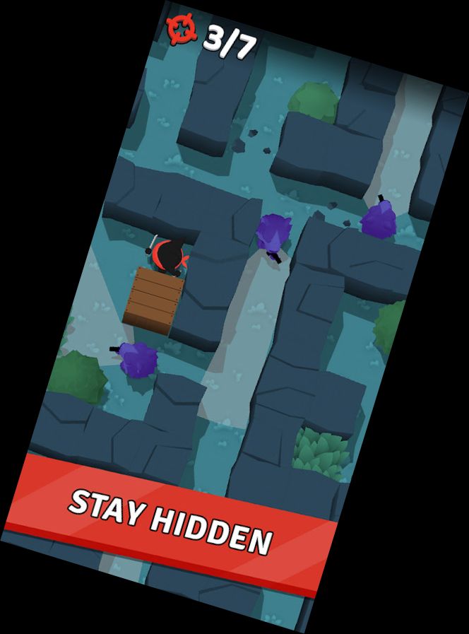 Ninja-Attentäter: Heimlicher Jä