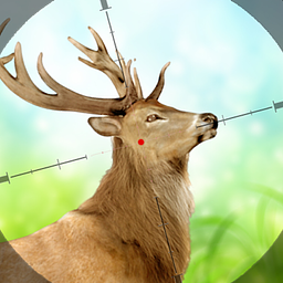 Охота на Дичь: Лес