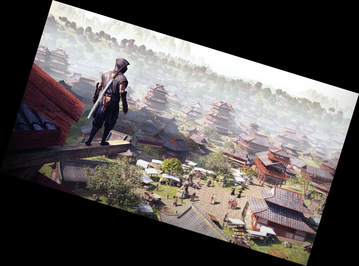 Ninja-Samurai-Attentäter-Held II