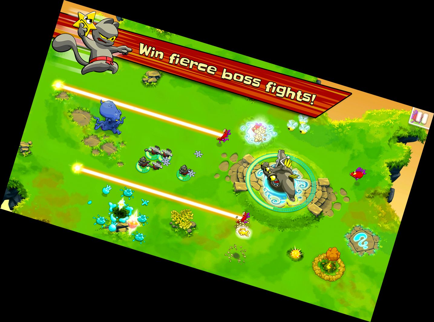 Коти-Ніндзя