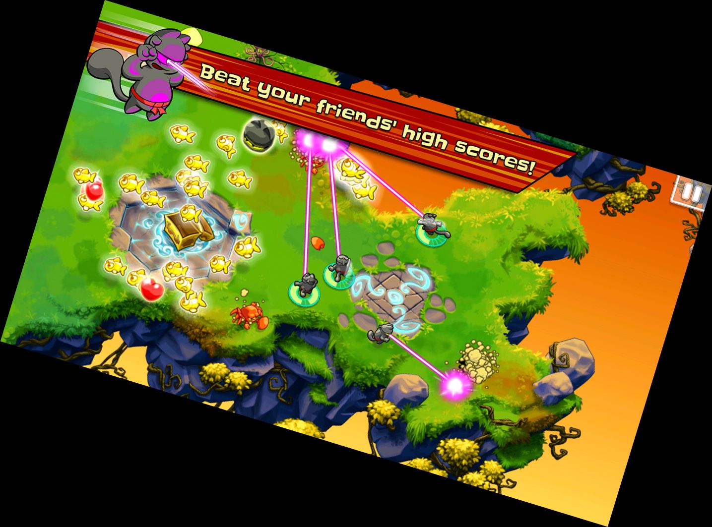 Коти-Ніндзя