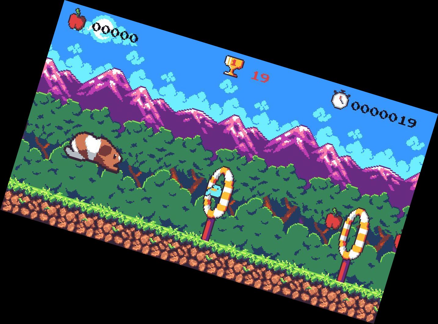 Морська свинка стрибає –