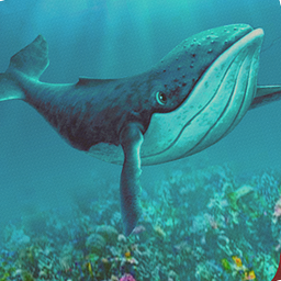 Blauer Wal Schütze Herausforderung v