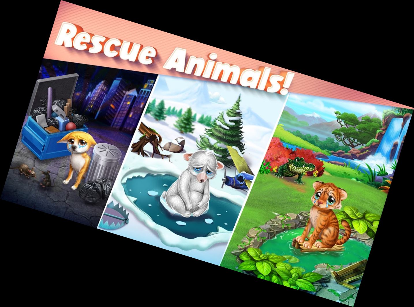 Kochduell: Tierrettung