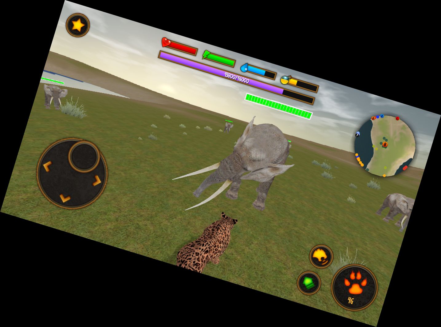 Клан Леопардов