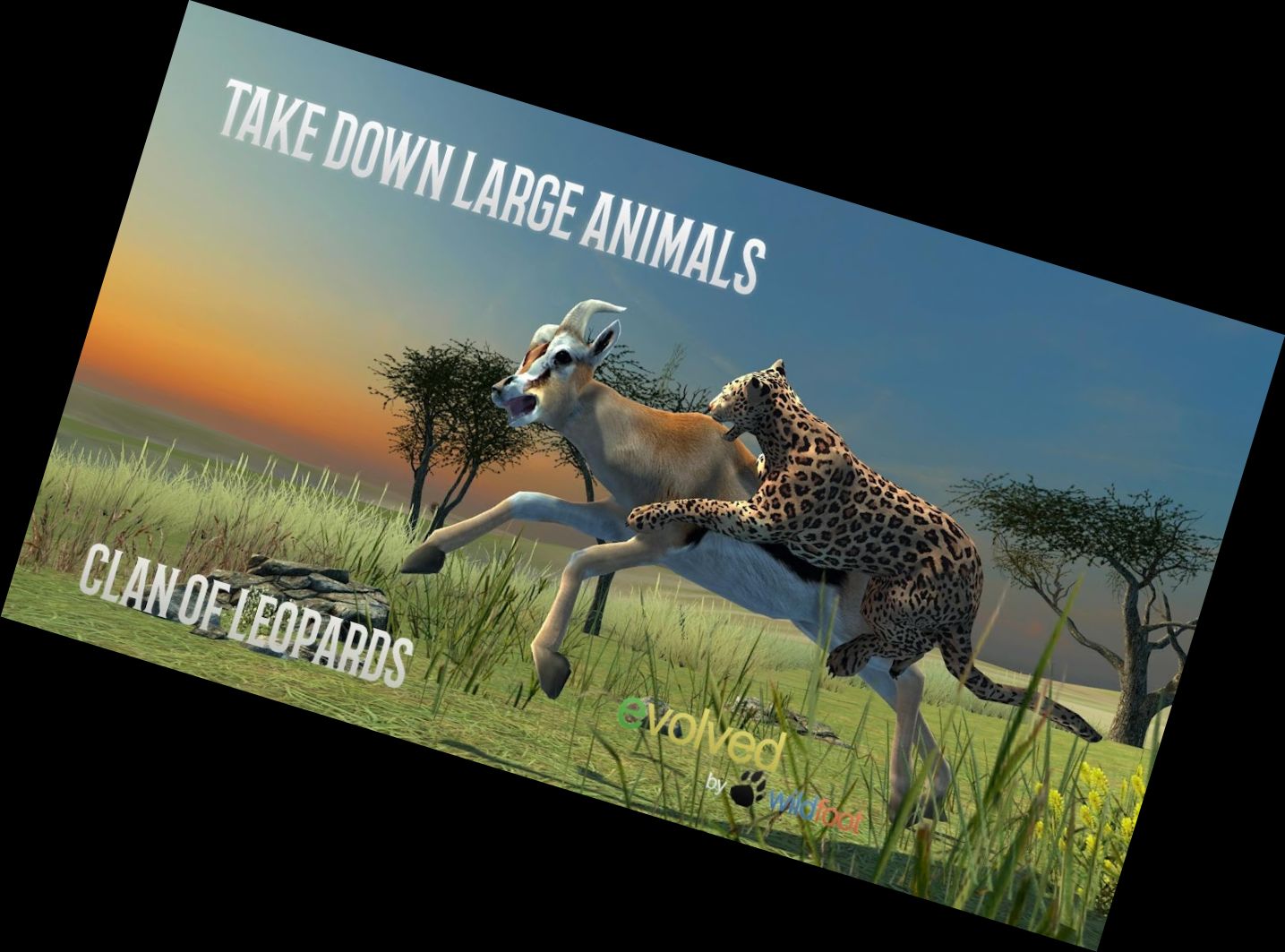 Клан Леопардів