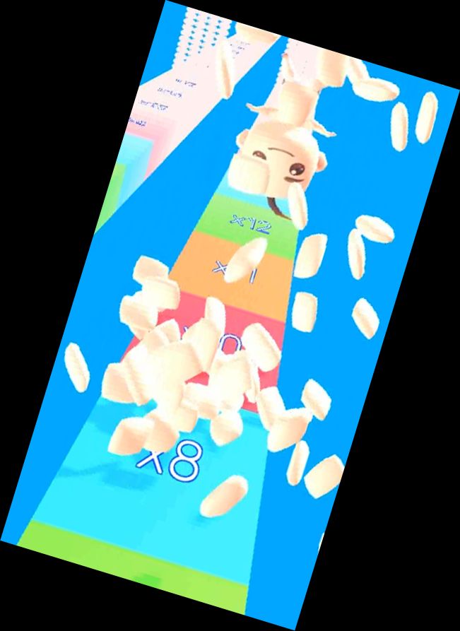 Гонки на коля