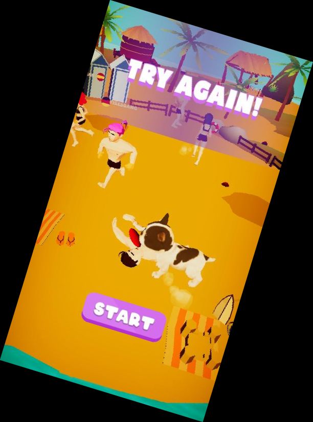 Пляжный Фрис