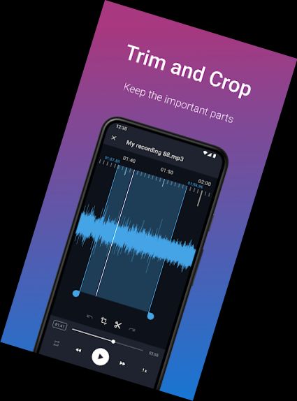 Easy Voice Recorder Pro