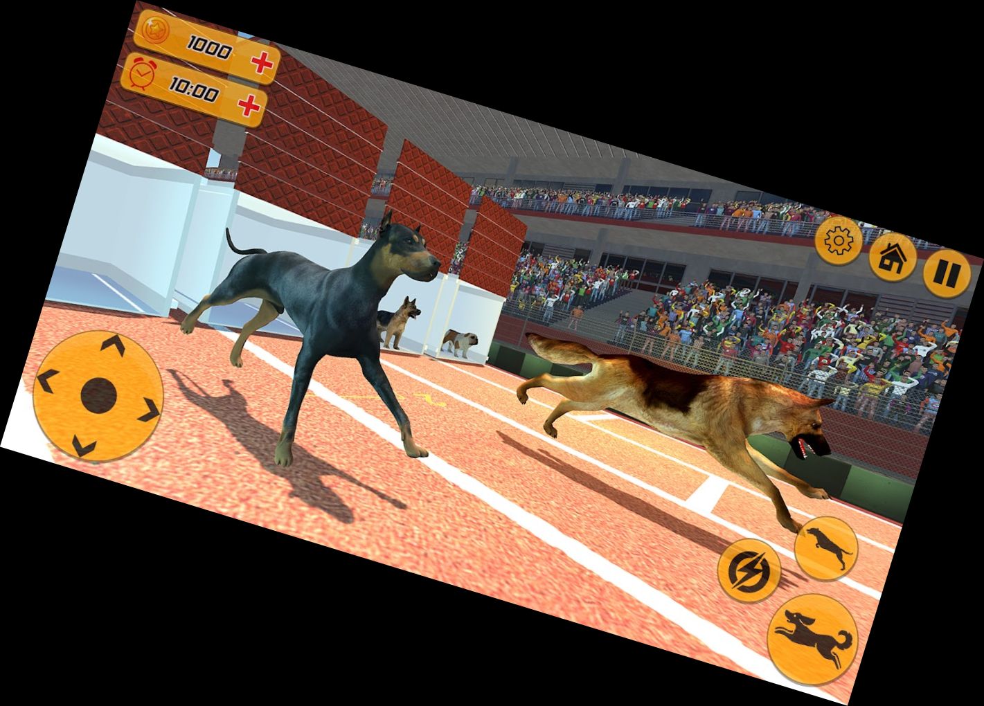 Hunderennen-Action-Spiel