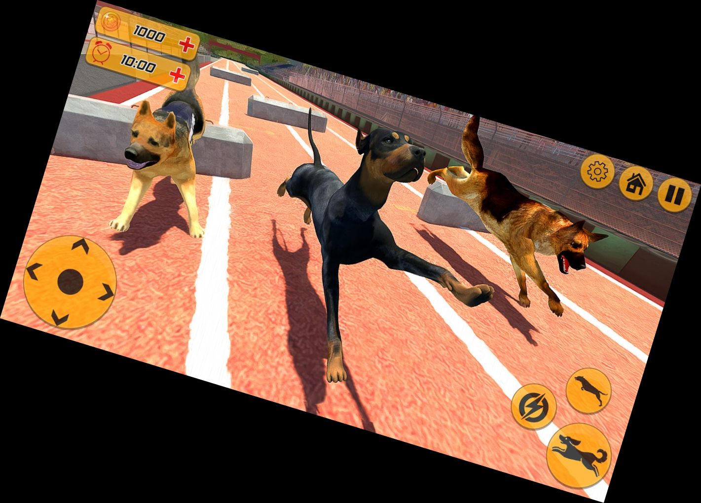 Hunderennen-Action-Spiel