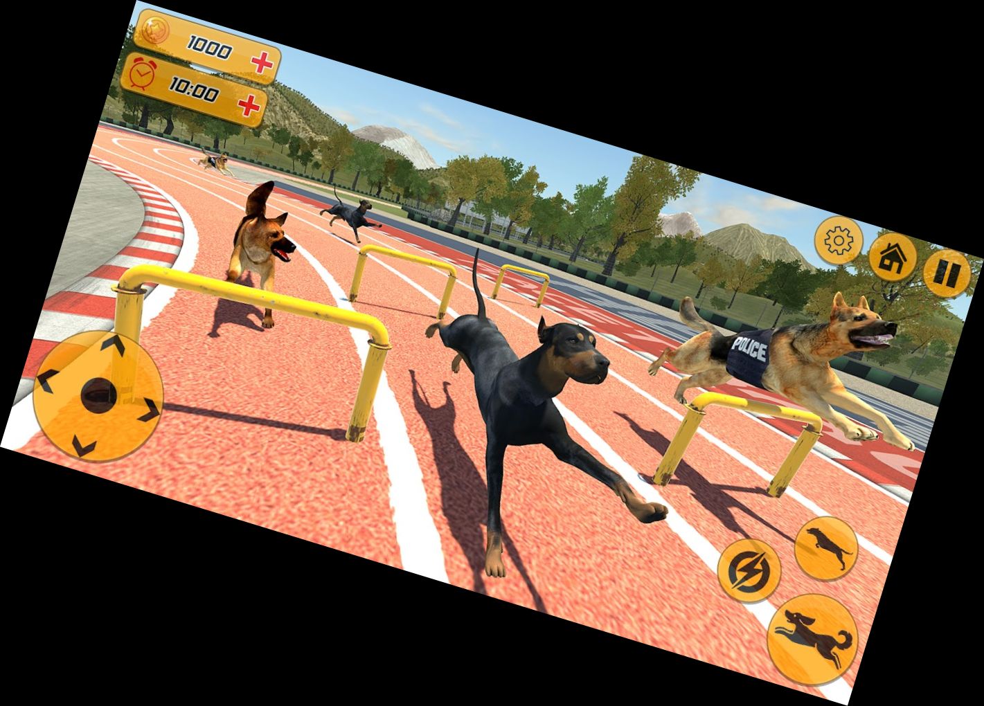 Гонки Собак: Действенная