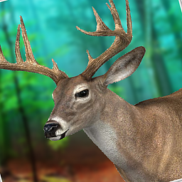 Wildlife Hunting Simulator Games