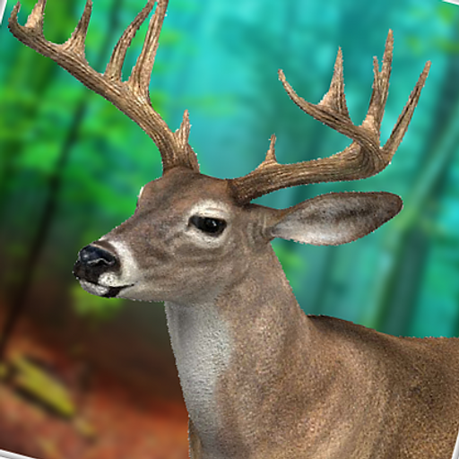 Wildlife Hunting Simulator Games