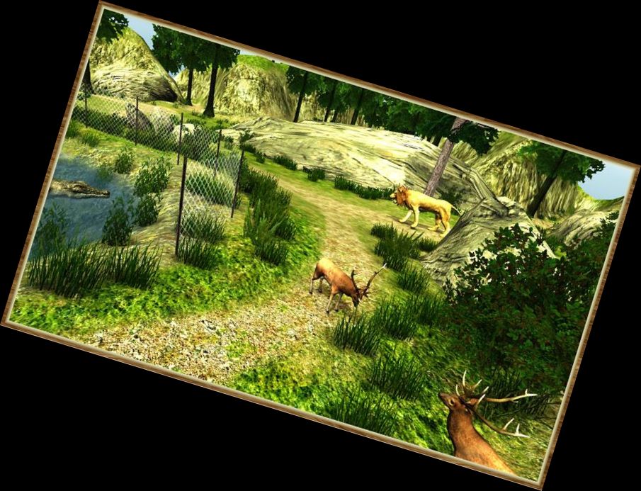 Wildlife Hunting Simulator Games